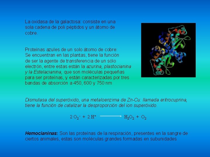 La oxidasa de la galactosa: consiste en una sola cadena de poli péptidos y