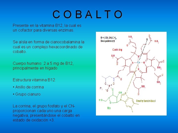 COBALTO Presente en la vitamina B 12, la cual es un cofactor para diversas