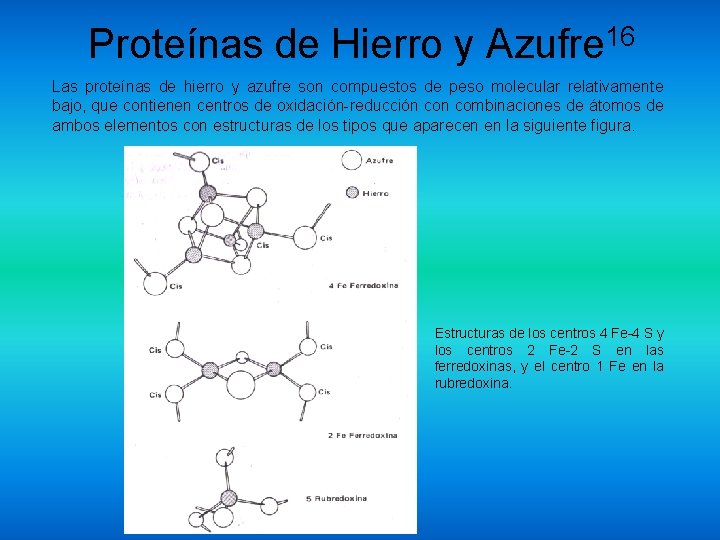 Proteínas de Hierro y Azufre 16 Las proteínas de hierro y azufre son compuestos