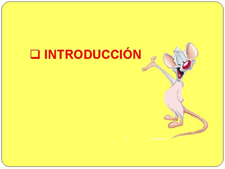 q INTRODUCCIÓN 