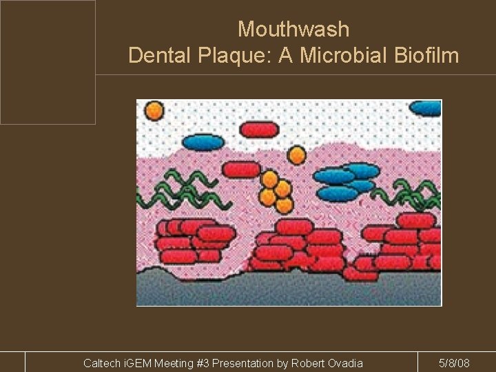 Mouthwash Dental Plaque: A Microbial Biofilm Caltech i. GEM Meeting #3 Presentation by Robert
