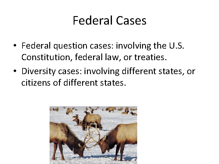 Federal Cases • Federal question cases: involving the U. S. Constitution, federal law, or