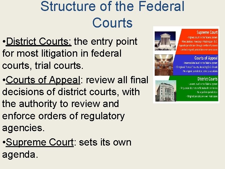 Structure of the Federal Courts • District Courts: the entry point for most litigation