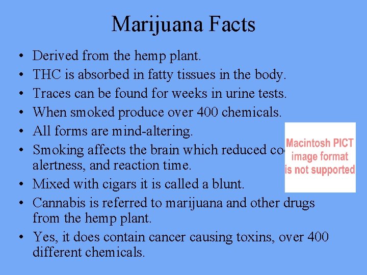 Marijuana Facts • • • Derived from the hemp plant. THC is absorbed in