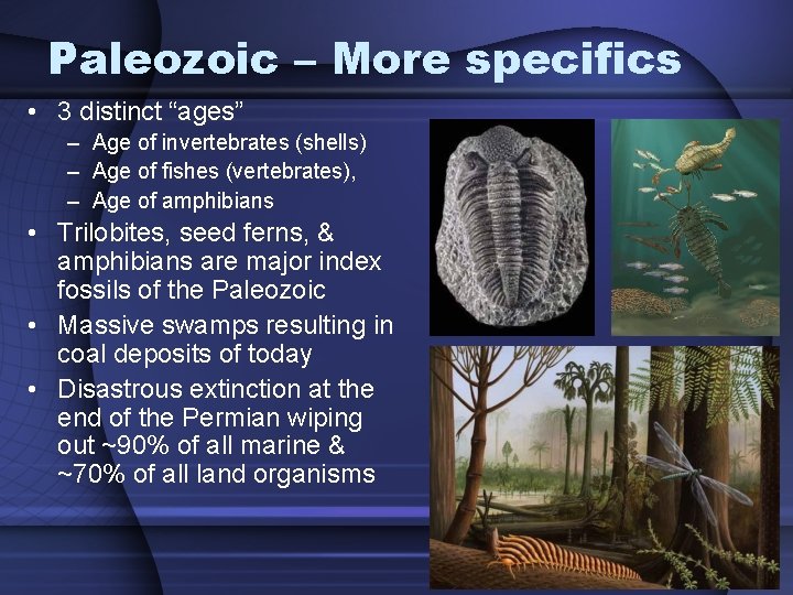 Paleozoic – More specifics • 3 distinct “ages” – Age of invertebrates (shells) –