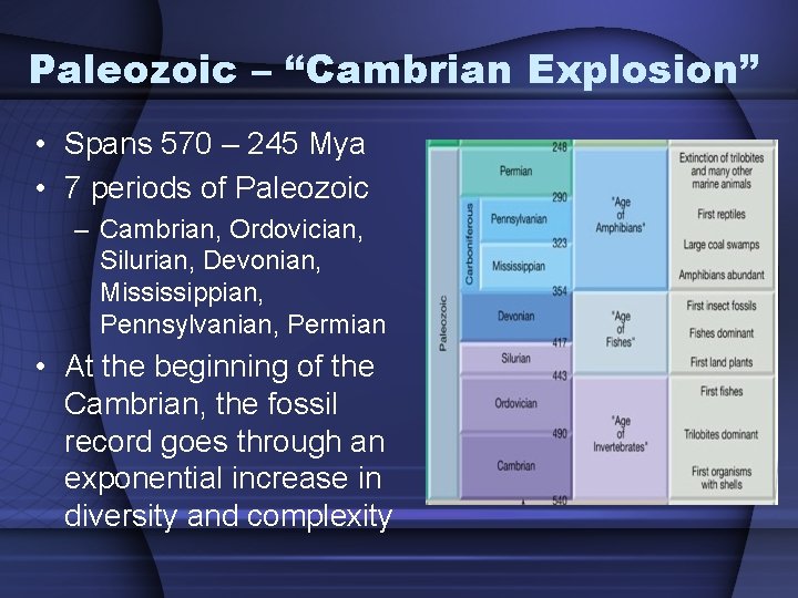 Paleozoic – “Cambrian Explosion” • Spans 570 – 245 Mya • 7 periods of