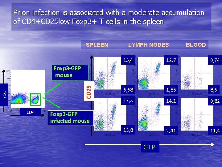 Prion infection is associated with a moderate accumulation of CD 4+CD 25 low Foxp