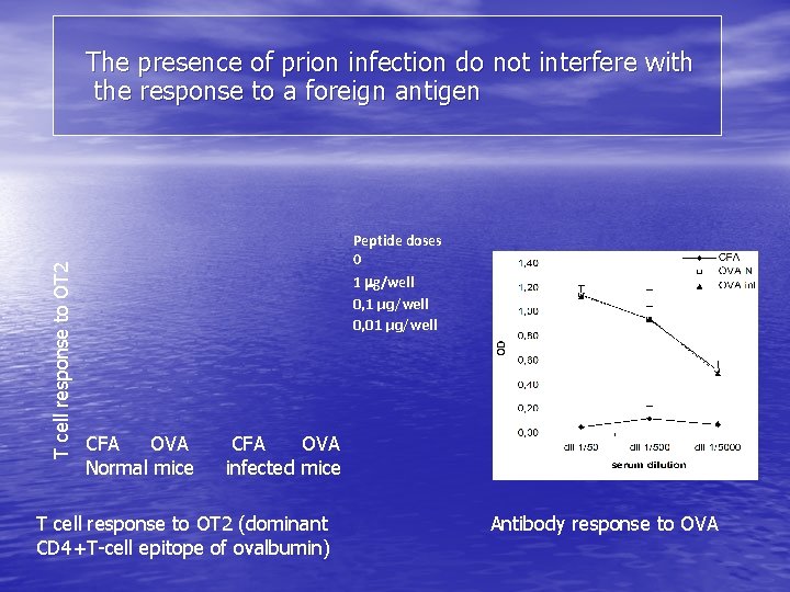 T cell response to OT 2 The presence of prion infection do not interfere