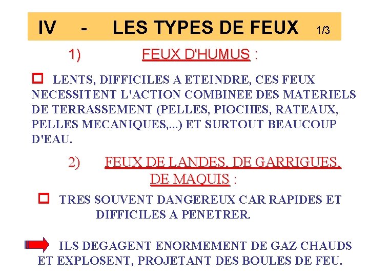 IV 1) LES TYPES DE FEUX 1/3 FEUX D'HUMUS : LENTS, DIFFICILES A ETEINDRE,