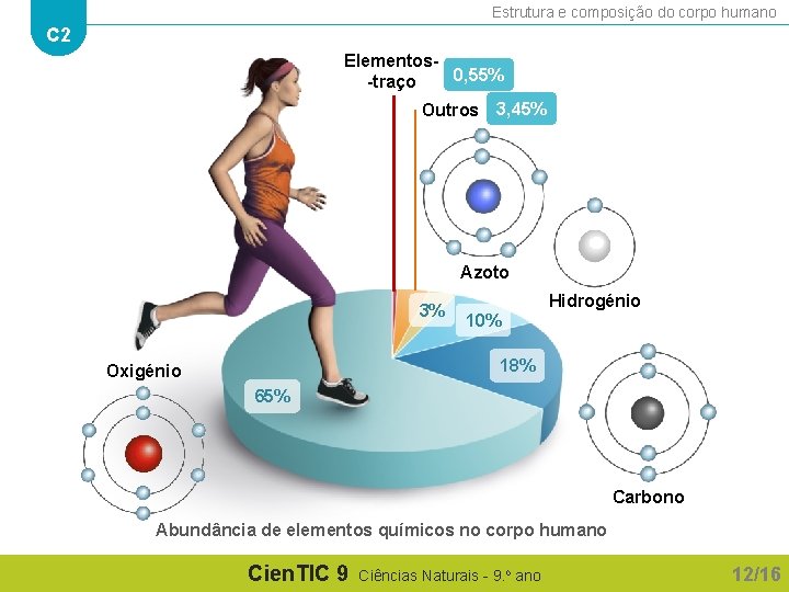 Estrutura e composição do corpo humano C 2 Elementos 0, 55% -traço Outros 3,