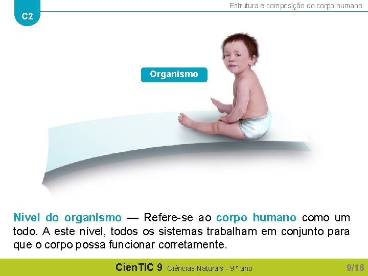 Estrutura e composição do corpo humano C 2 Organismo Nível do organismo — Refere-se