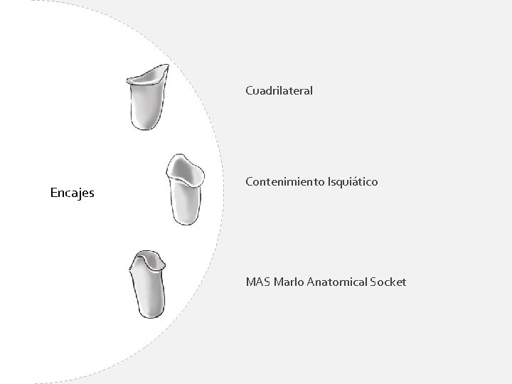 Cuadrilateral Encajes Contenimiento Isquiático MAS Marlo Anatomical Socket 