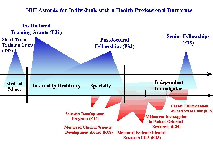 NIH Awards for Individuals with a Health-Professional Doctorate Institutional Training Grants (T 32) Short-Term