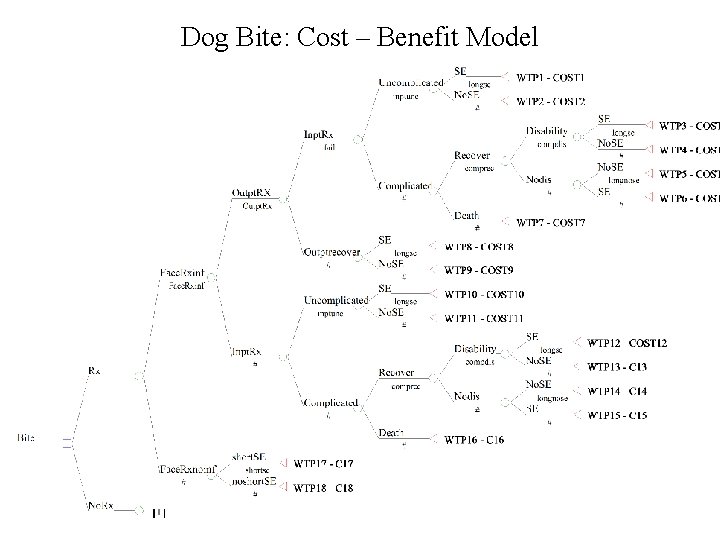 Dog Bite: Cost – Benefit Model 