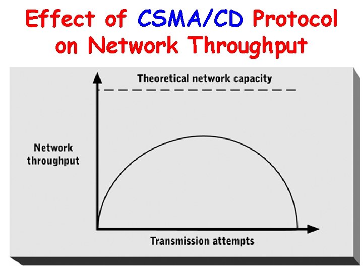 Effect of CSMA/CD Protocol on Network Throughput 