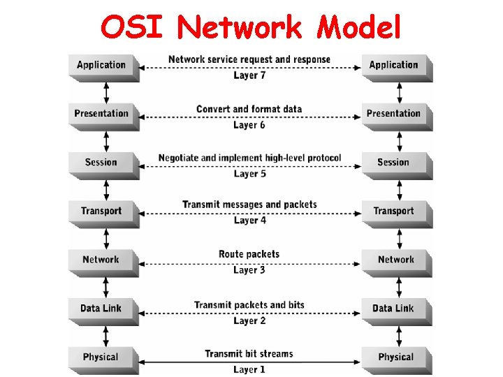 OSI Network Model 