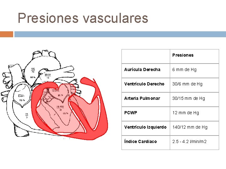 Presiones vasculares Presiones Aurícula Derecha 6 mm de Hg Ventrículo Derecho 30/6 mm de