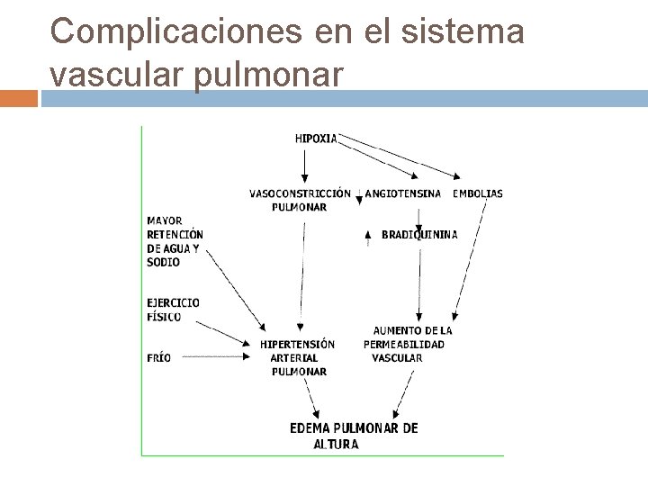 Complicaciones en el sistema vascular pulmonar 