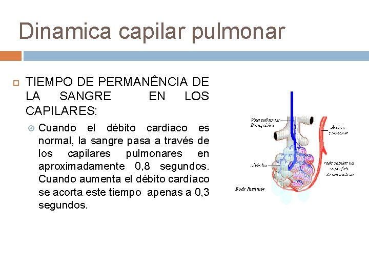Dinamica capilar pulmonar TIEMPO DE PERMANÊNCIA DE LA SANGRE EN LOS CAPILARES: Cuando el