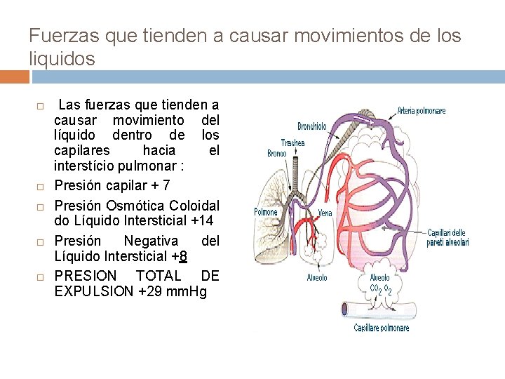 Fuerzas que tienden a causar movimientos de los liquidos Las fuerzas que tienden a