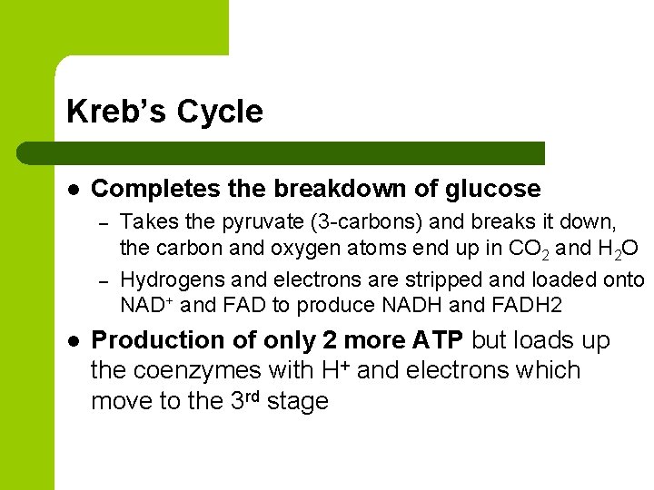 Kreb’s Cycle l Completes the breakdown of glucose – – l Takes the pyruvate