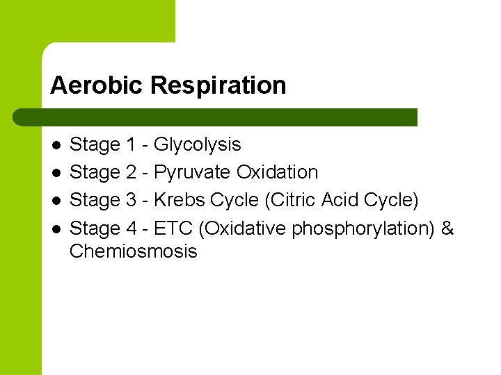 Aerobic Respiration l l Stage 1 - Glycolysis Stage 2 - Pyruvate Oxidation Stage