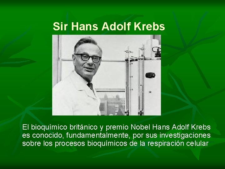 Sir Hans Adolf Krebs El bioquímico británico y premio Nobel Hans Adolf Krebs es
