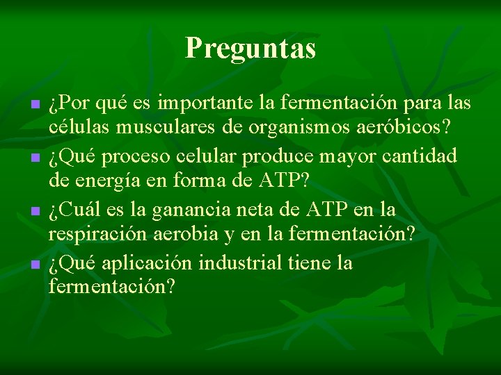 Preguntas n n ¿Por qué es importante la fermentación para las células musculares de