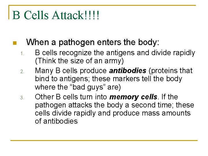 B Cells Attack!!!! When a pathogen enters the body: n 1. 2. 3. B