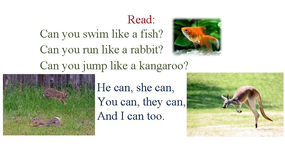 Read: Can you swim like a fish? Can you run like a rabbit? Can