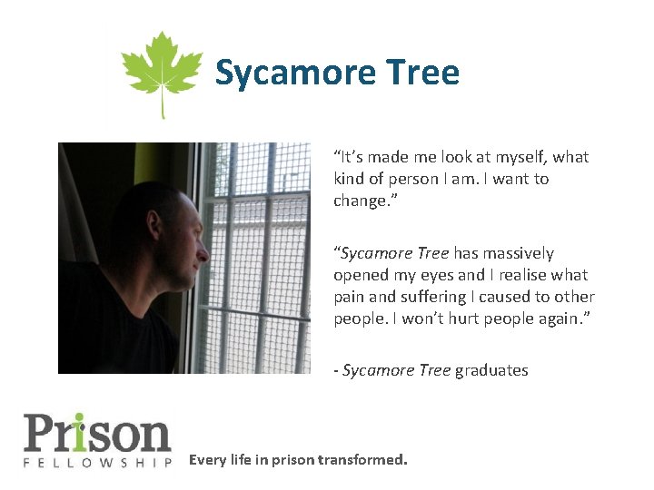 Sycamore Tree “It’s made me look at myself, what kind of person I am.