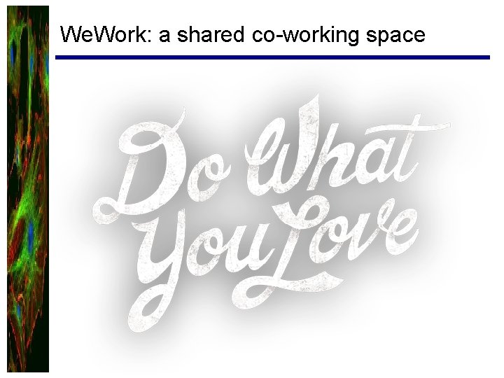 We. Work: a shared co-working space 