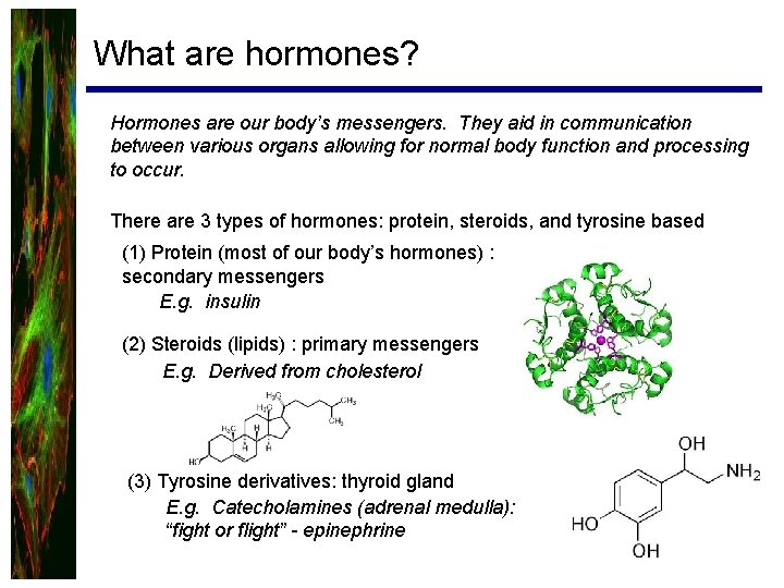 What are hormones? Hormones are our body’s messengers. They aid in communication between various