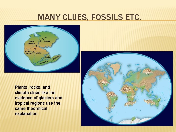 MANY CLUES, FOSSILS ETC. Plants, rocks, and climate clues like the evidence of glaciers