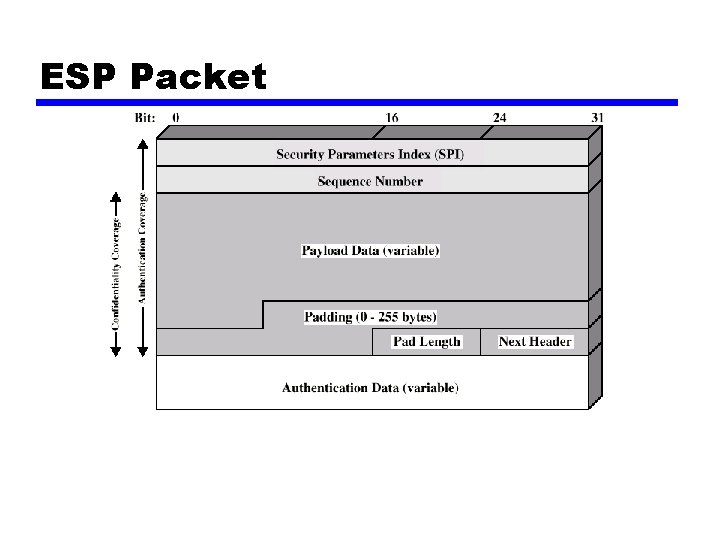 ESP Packet 