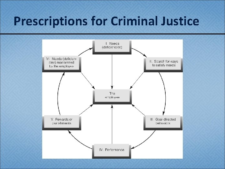 Prescriptions for Criminal Justice 