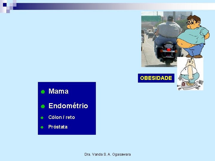 OBESIDADE | Mama | Endométrio | Cólon / reto | Próstata Dra. Vanda S.