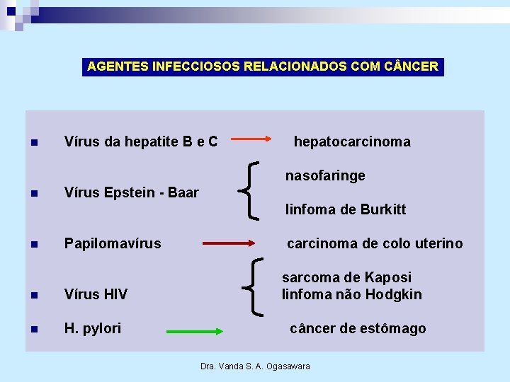 AGENTES INFECCIOSOS RELACIONADOS COM C NCER n Vírus da hepatite B e C hepatocarcinoma