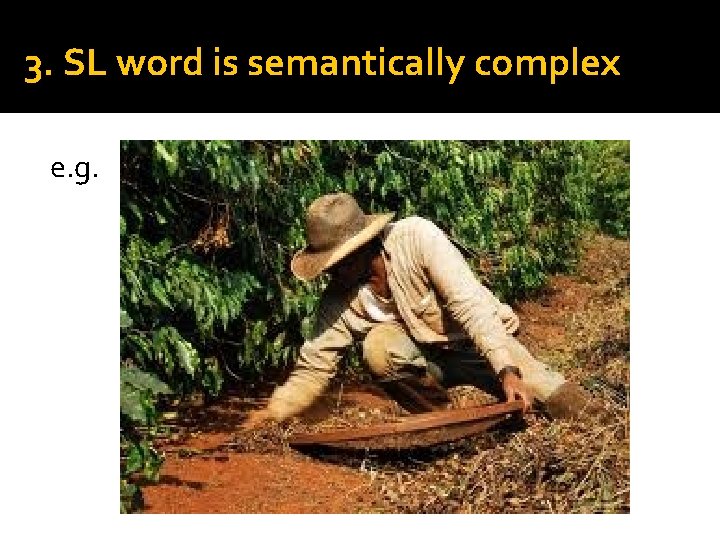 3. SL word is semantically complex e. g. 