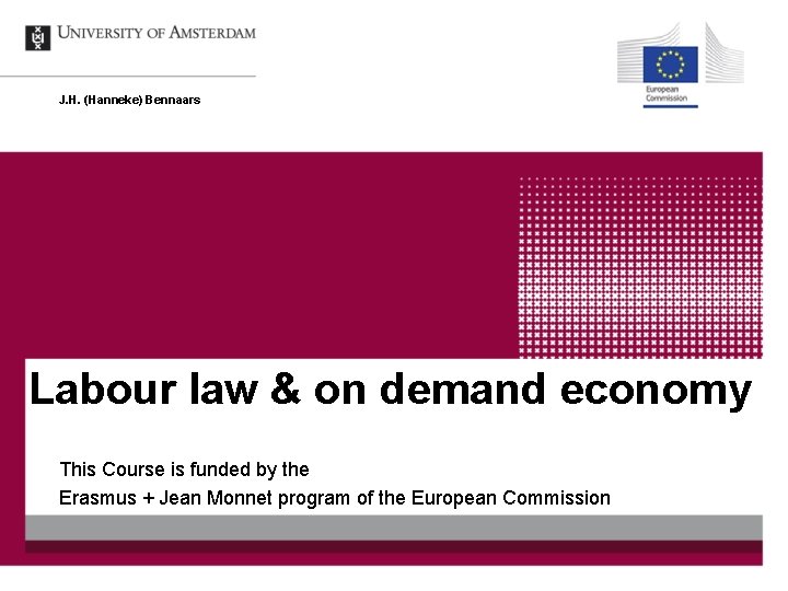 J. H. (Hanneke) Bennaars Labour law & on demand economy This Course is funded