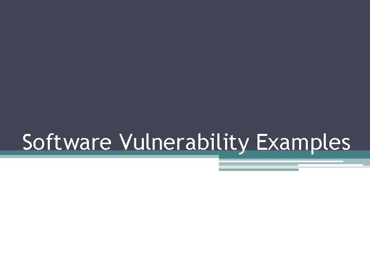 Software Vulnerability Examples 