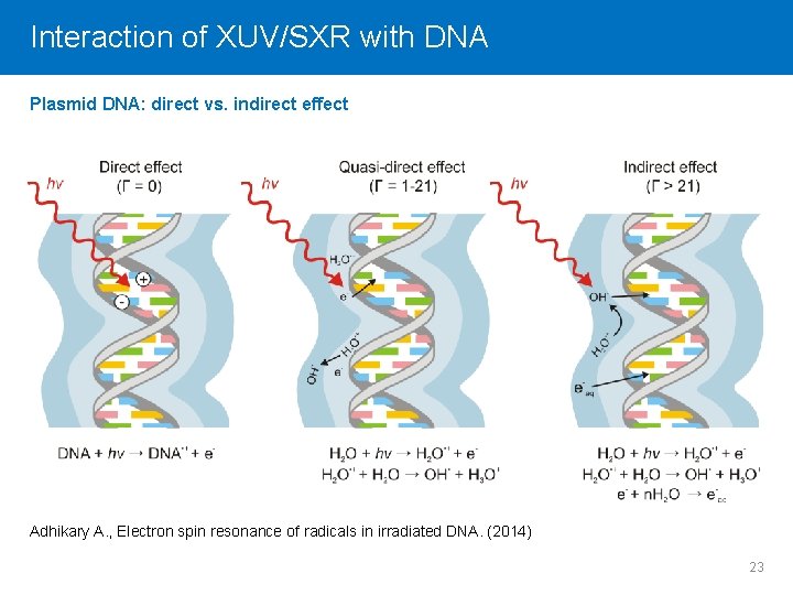 Interaction Click to editof. Master XUV/SXR title style with DNA Plasmid DNA: direct vs.