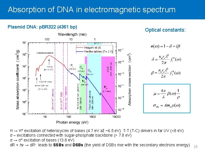 Absorption Click to editof. Master DNA intitle electromagnetic style spectrum Plasmid DNA: p. BR