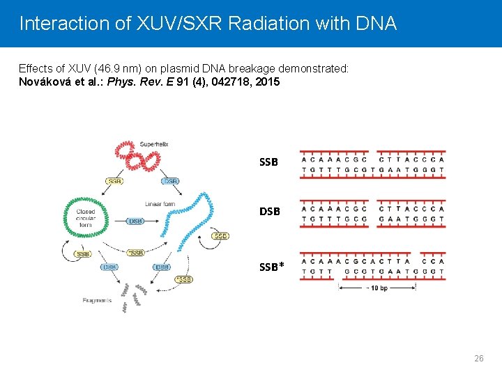 Interaction Click to editof. Master XUV/SXR title Radiation style with DNA Effects of XUV