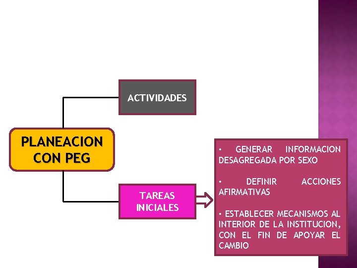 ACTIVIDADES PLANEACION CON PEG • GENERAR INFORMACION DESAGREGADA POR SEXO TAREAS INICIALES • DEFINIR