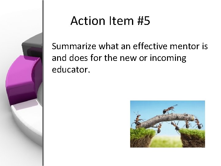 Action Item #5 Summarize what an effective mentor is and does for the new