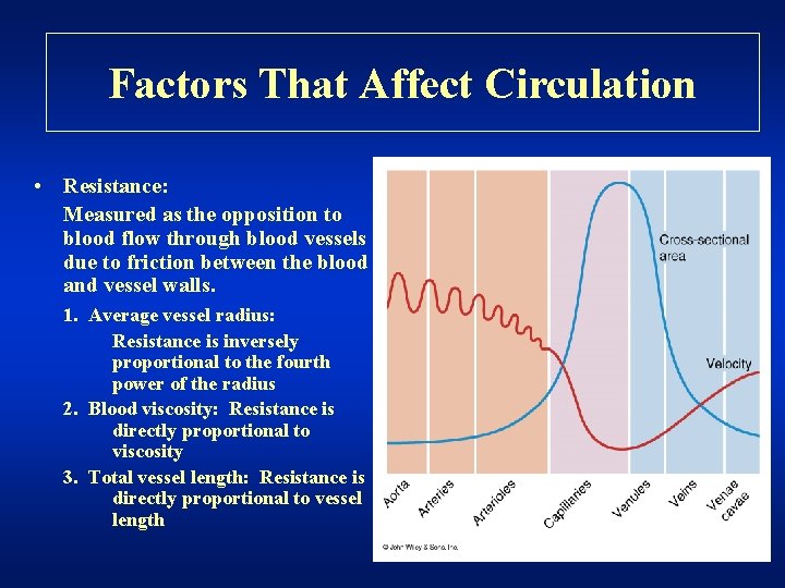 Factors That Affect Circulation • Resistance: Measured as the opposition to blood flow through