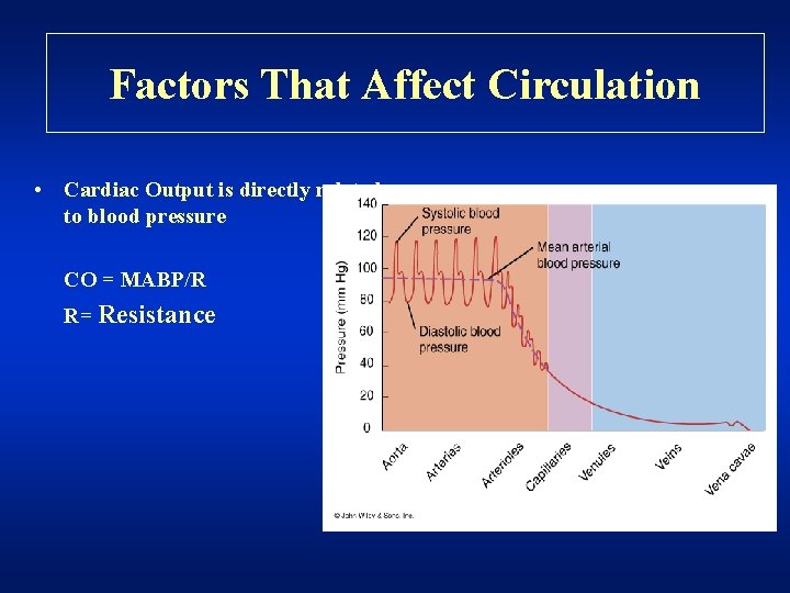 Factors That Affect Circulation • Cardiac Output is directly related to blood pressure CO