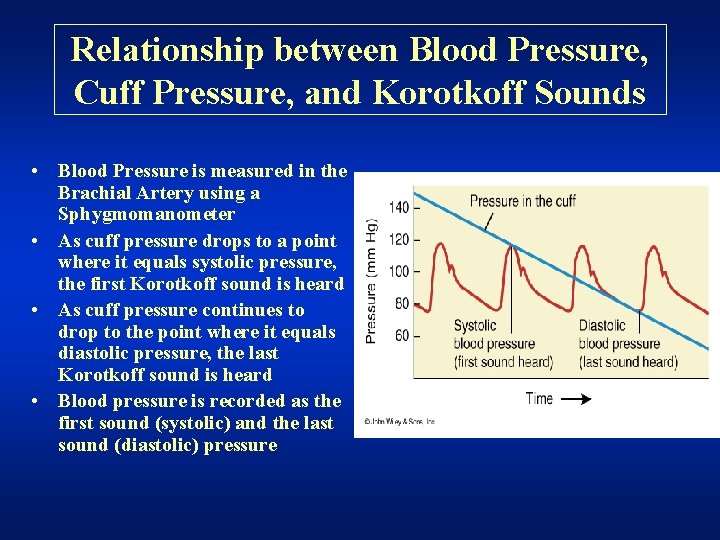 Relationship between Blood Pressure, Cuff Pressure, and Korotkoff Sounds • Blood Pressure is measured