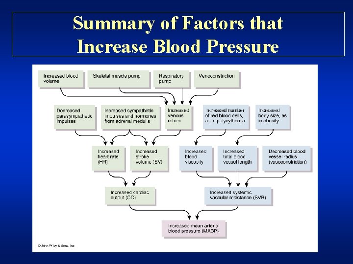 Summary of Factors that Increase Blood Pressure 